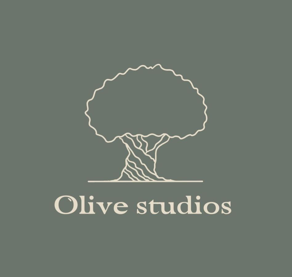 Olive Appartement Zadar